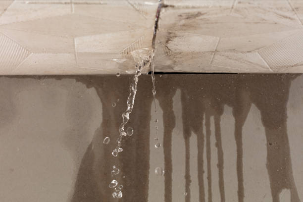 Professional Water Extraction technician working in Lake Odessa, MI